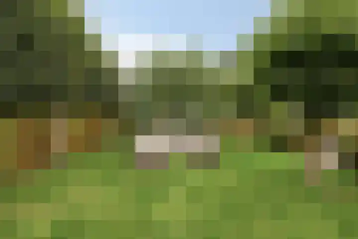 Knollemanshoek 7 B Montfoort thumbnail 34