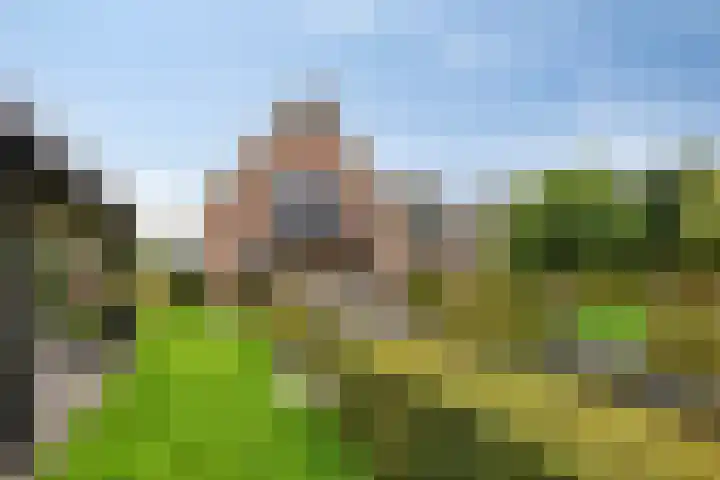 Knollemanshoek 7 B Montfoort thumbnail 40