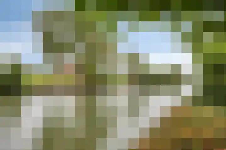 Knollemanshoek 7 B Montfoort thumbnail 41