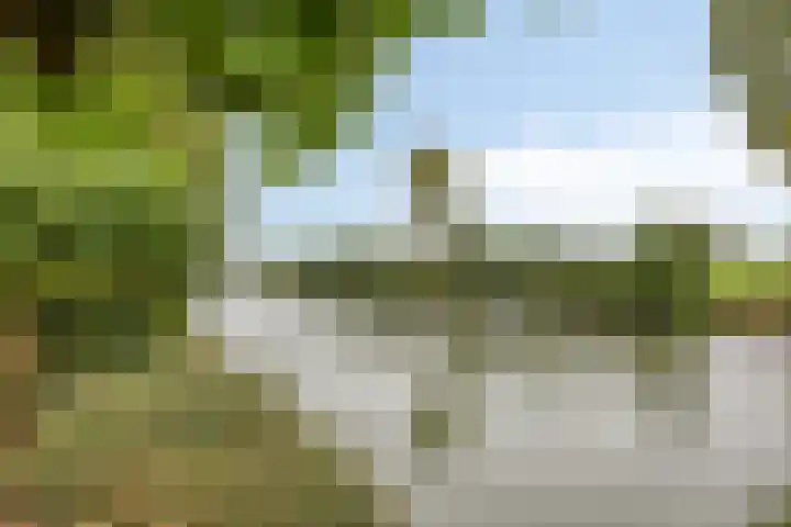 Knollemanshoek 7 B Montfoort thumbnail 42