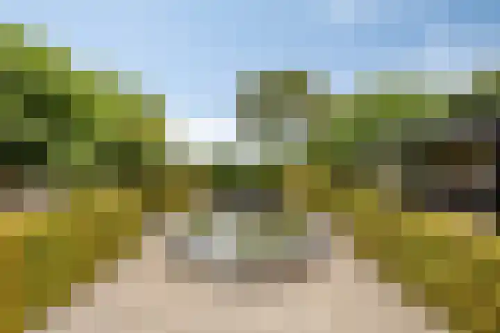 Knollemanshoek 7 B Montfoort thumbnail 44