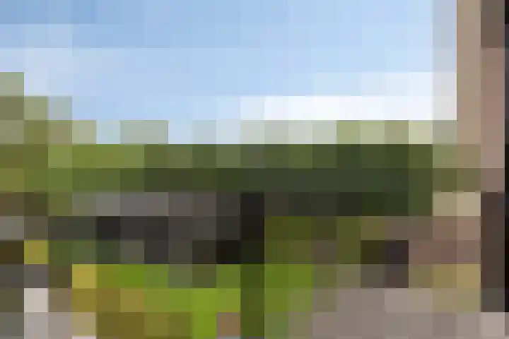 Knollemanshoek 7 B Montfoort thumbnail 47