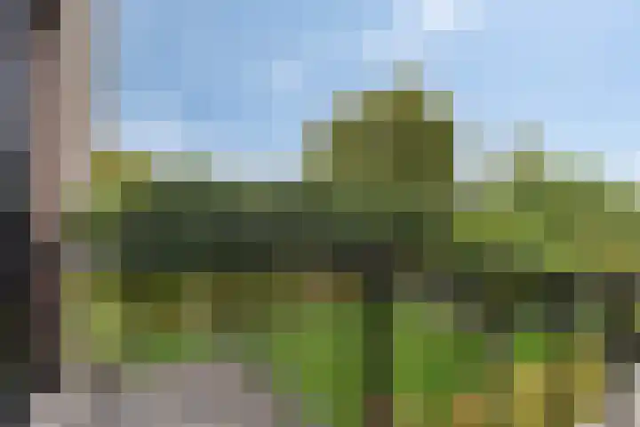 Knollemanshoek 7 B Montfoort thumbnail 48