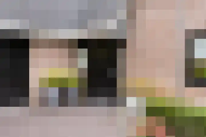 Knollemanshoek 7 B Montfoort thumbnail 6