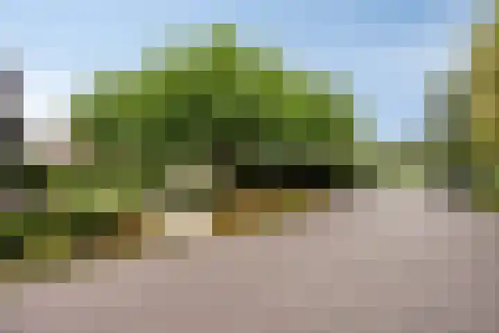 Knollemanshoek 7 B Montfoort thumbnail 64