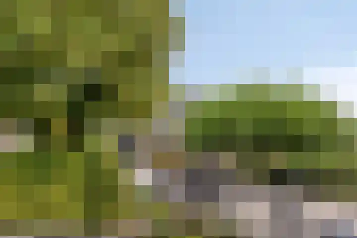 Knollemanshoek 7 B Montfoort thumbnail 65