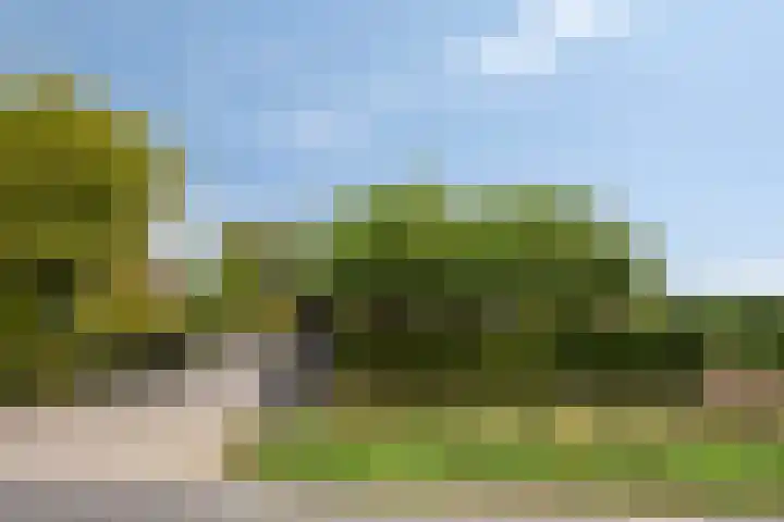 Knollemanshoek 7 B Montfoort thumbnail 66