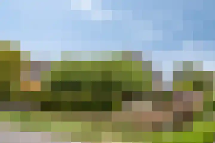 Knollemanshoek 7 B Montfoort thumbnail 67