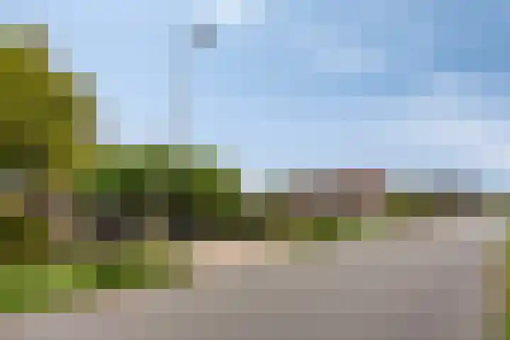 Knollemanshoek 7 B Montfoort thumbnail 68
