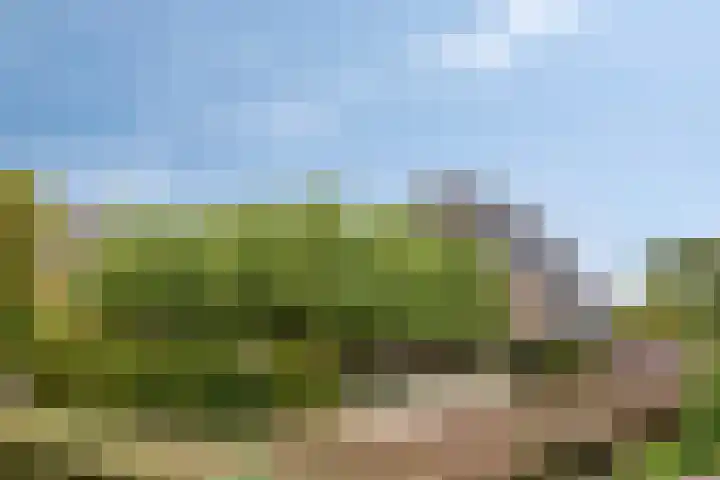 Knollemanshoek 7 B Montfoort thumbnail 69