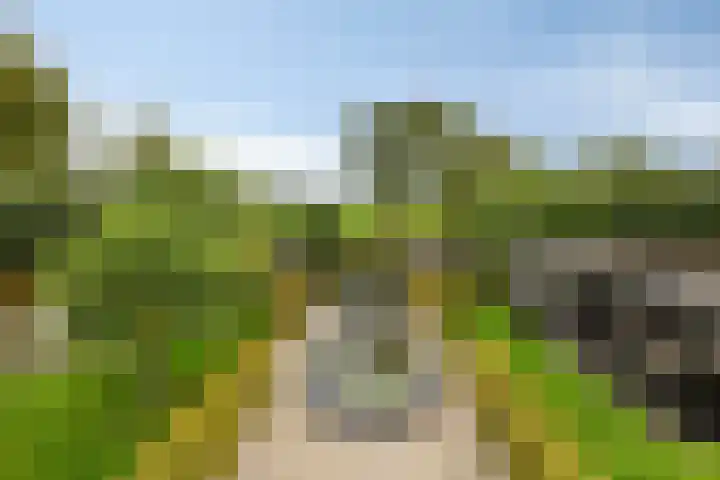 Knollemanshoek 7 B Montfoort thumbnail 70