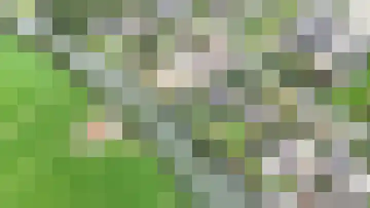 Knollemanshoek 7 B Montfoort thumbnail 71
