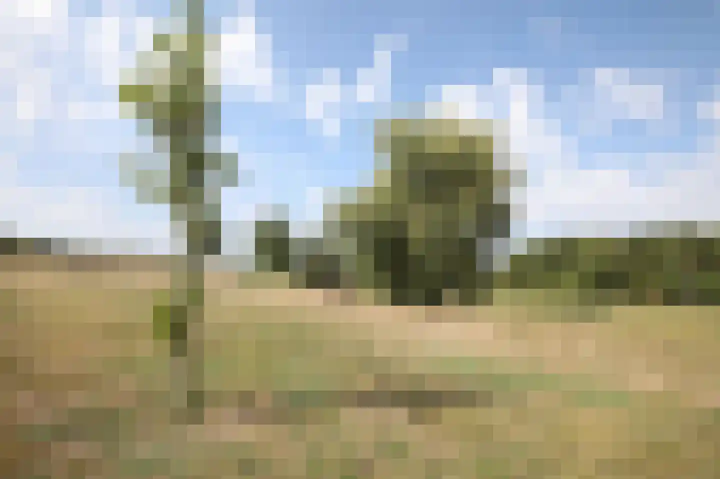 Knollenberg 16 Mook thumbnail 13