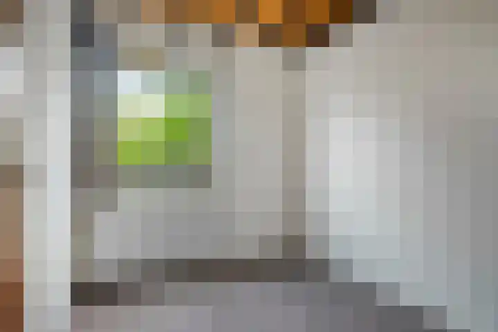 Knollenberg 16 Mook thumbnail 15
