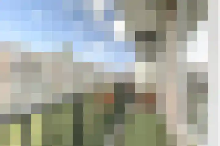 Knollenberg 16 Mook thumbnail 17