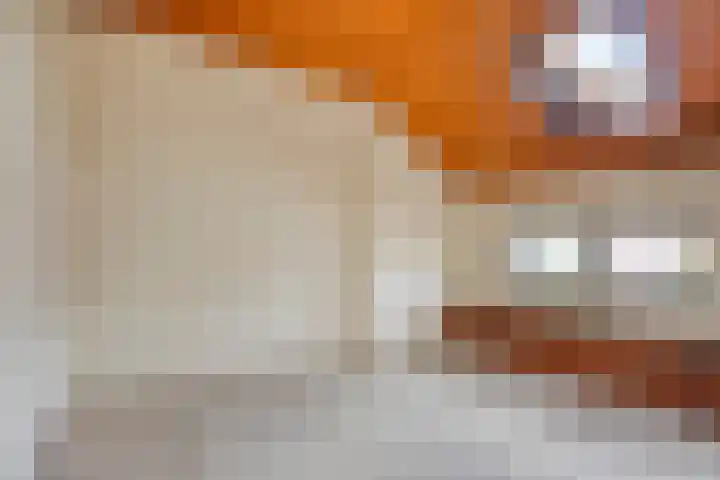 Knollenberg 16 Mook thumbnail 27
