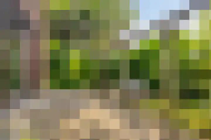 Knollenberg 16 Mook thumbnail 29