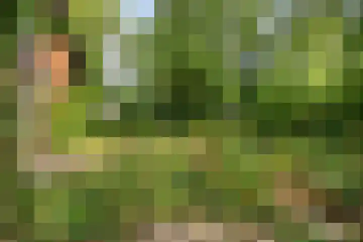 Knollenberg 16 Mook thumbnail 31