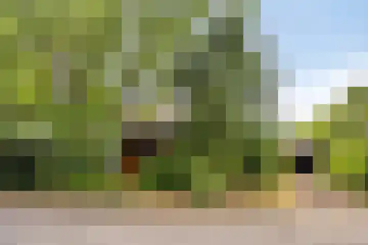 Knollenberg 16 Mook thumbnail 38