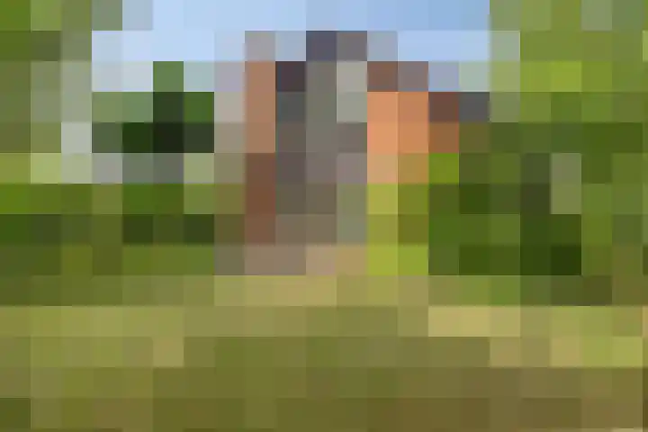 Knollenberg 16 Mook thumbnail 43
