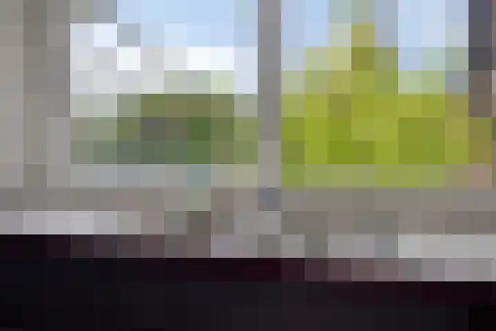 Knollenberg 16 Mook thumbnail 9