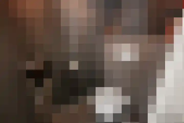 Knollendammerstraat 137 Wormer thumbnail 9