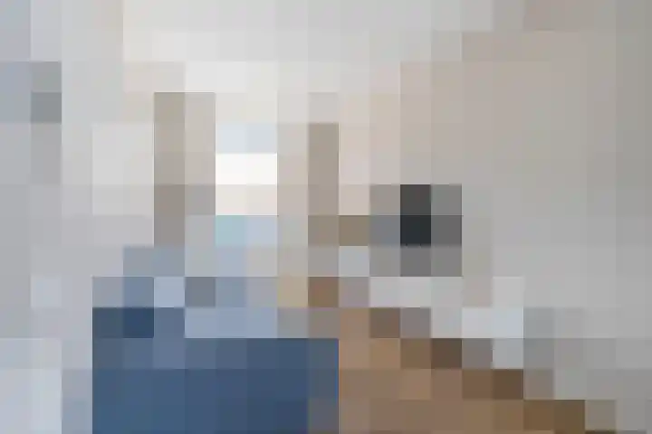 Knollendammerstraat 162 Wormer thumbnail 8