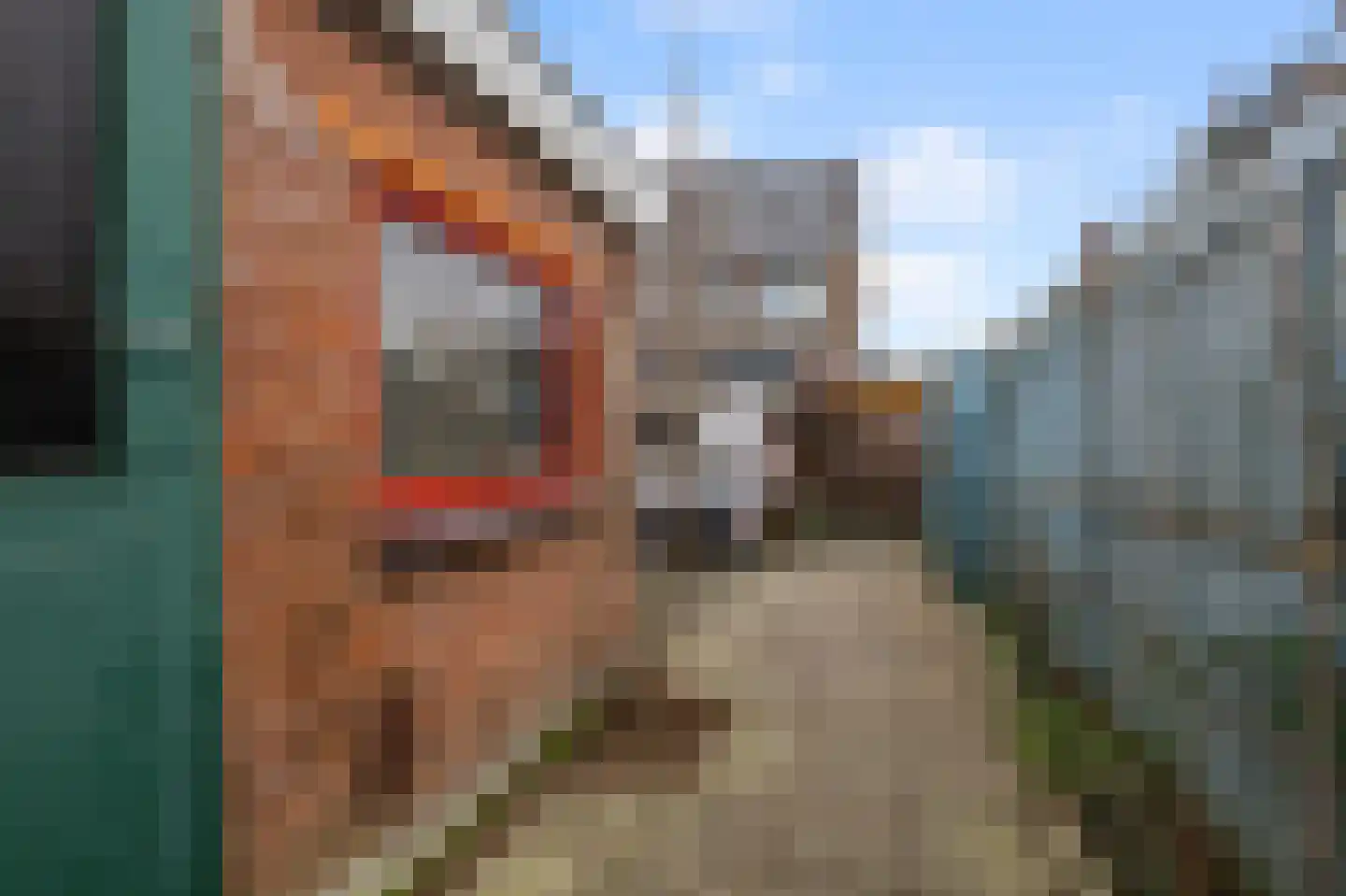 Knollendammerstraat 80 Wormer thumbnail 10