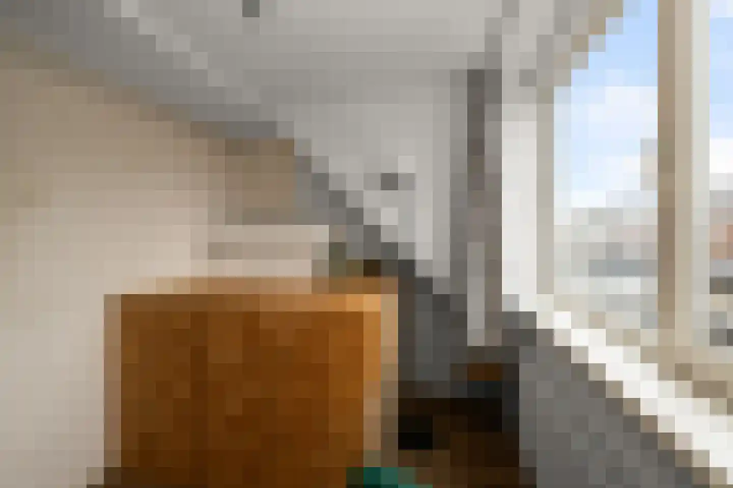 Knollendammerstraat 80 Wormer thumbnail 19