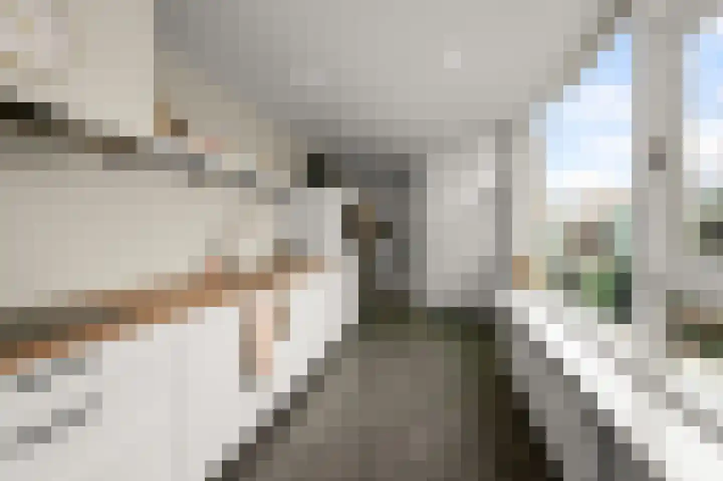 Knollendammerstraat 80 Wormer thumbnail 8