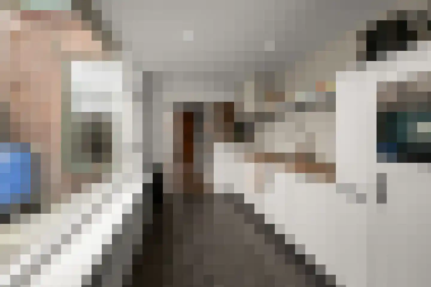 Knollendammerstraat 80 Wormer thumbnail 9