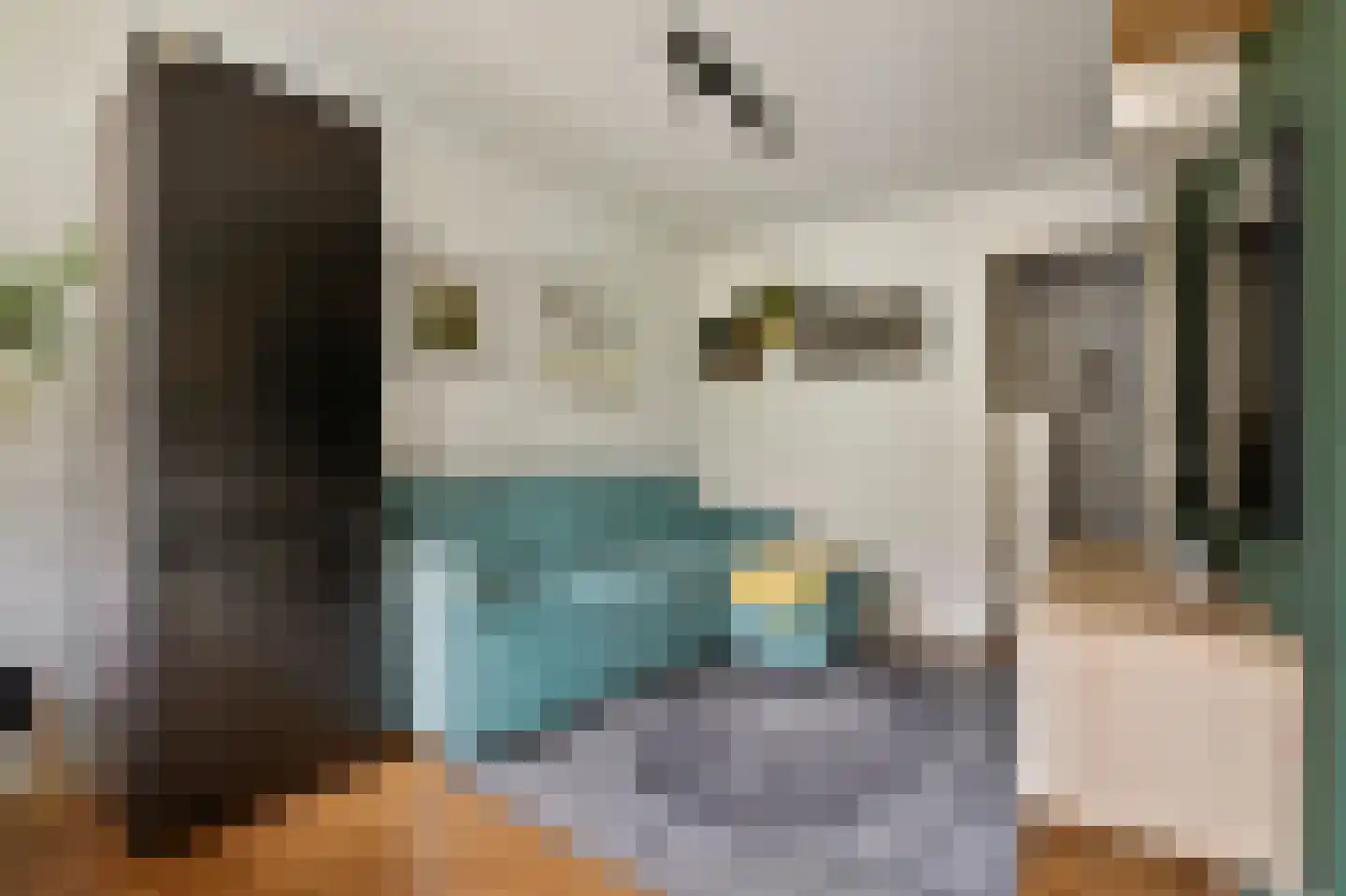 Knollendamstraat 11 2 Amsterdam thumbnail 11