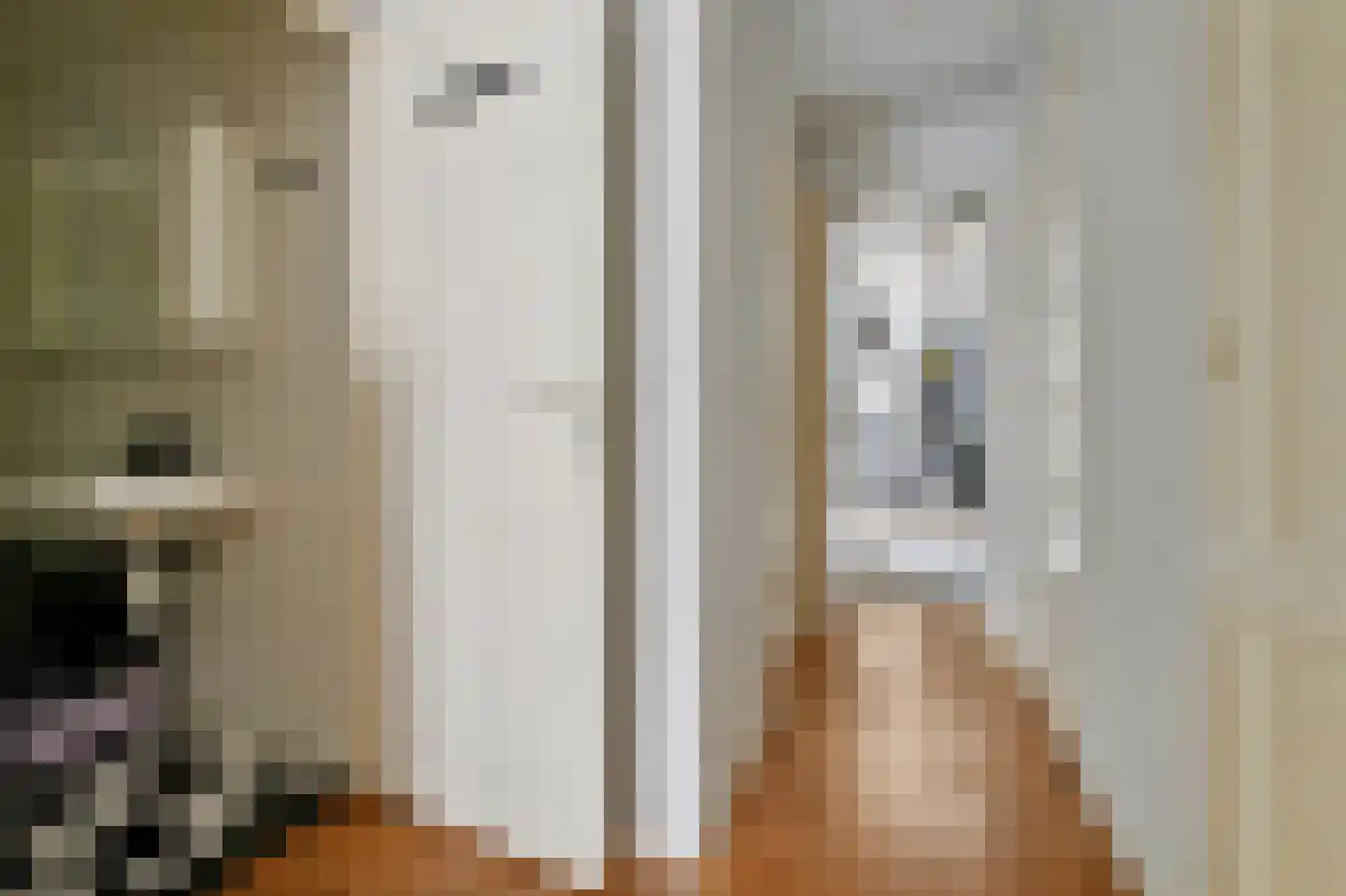 Knollendamstraat 11 2 Amsterdam thumbnail 13