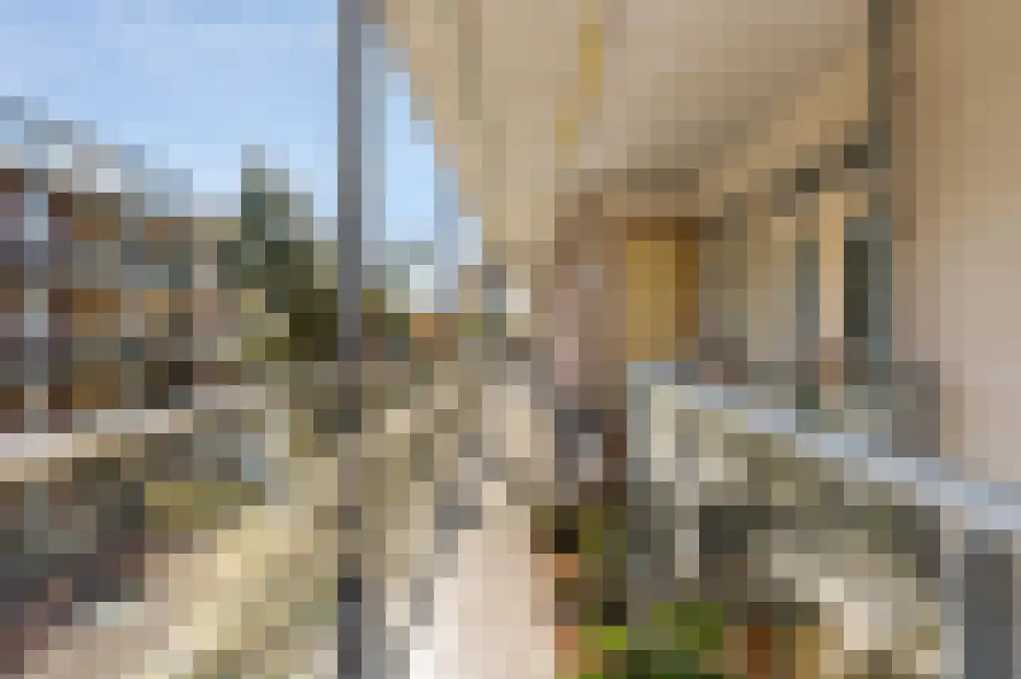 Knollendamstraat 121 Amsterdam thumbnail 13