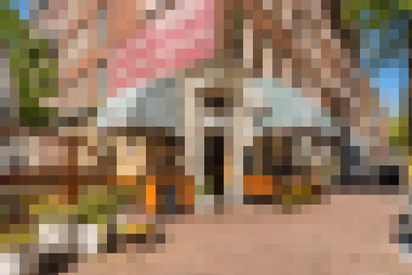 Knollendamstraat 121 Amsterdam thumbnail 16