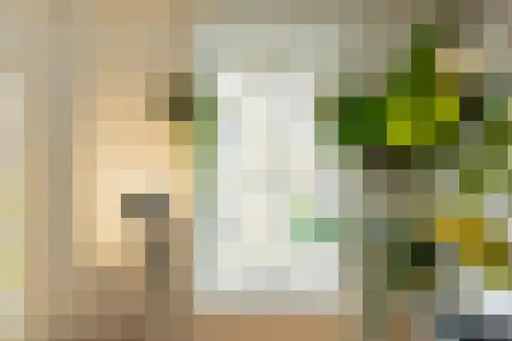 Knollendamstraat 123 Amsterdam thumbnail 9