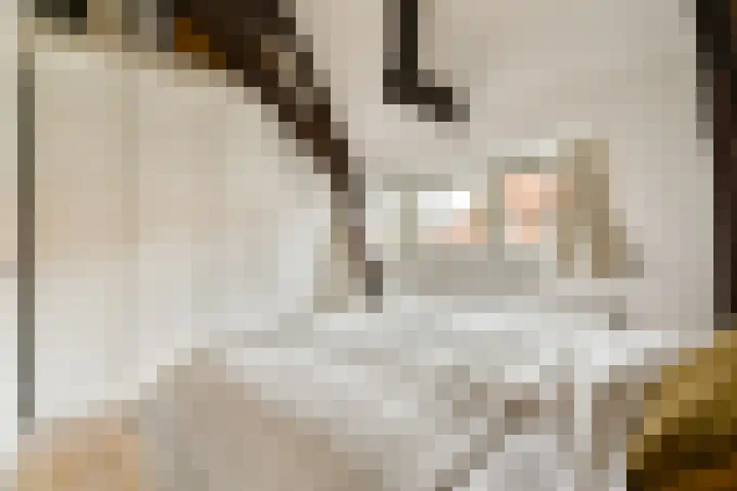 Knollendamstraat 171 Amsterdam thumbnail 14