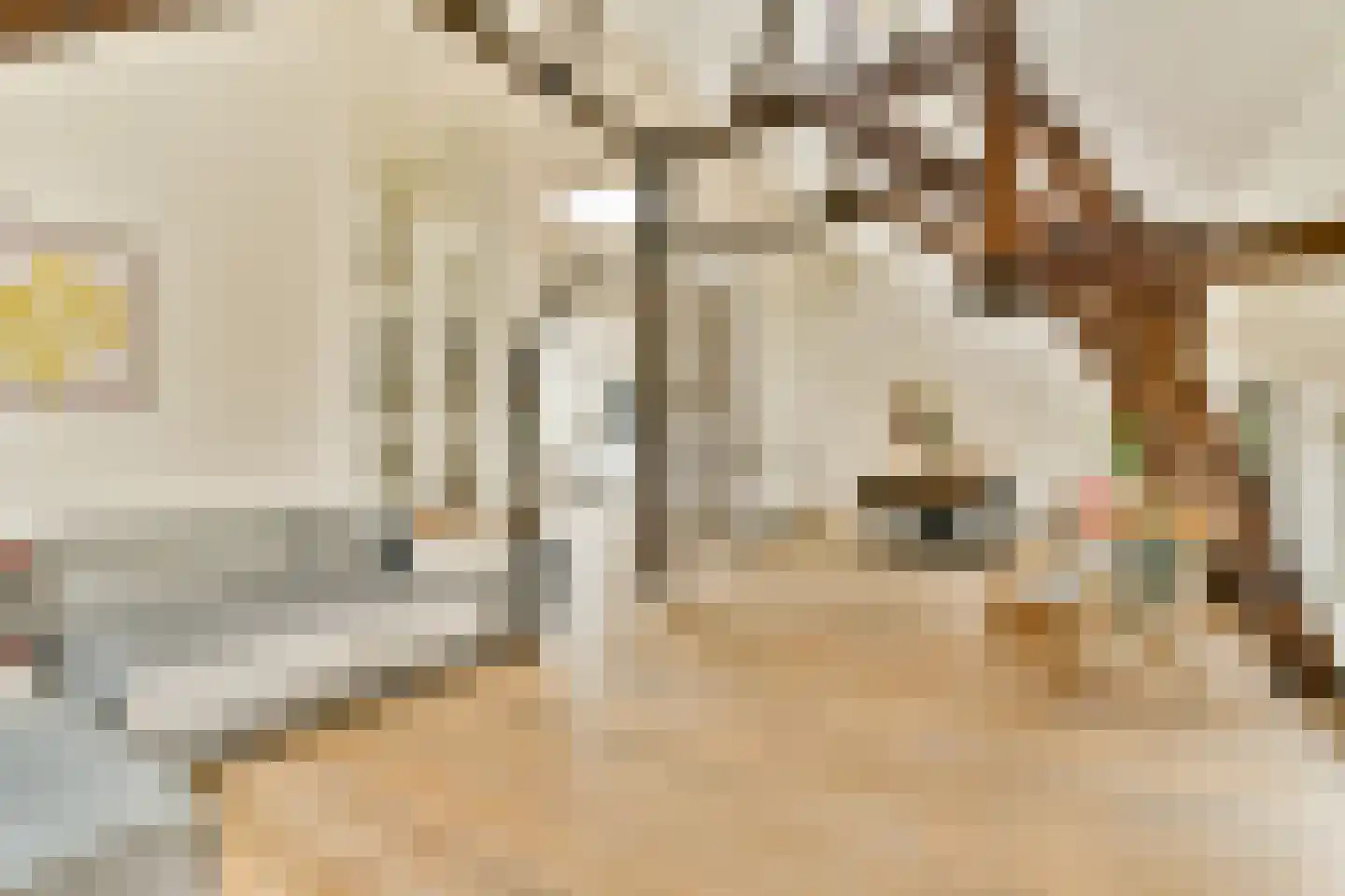 Knollendamstraat 171 Amsterdam thumbnail 7