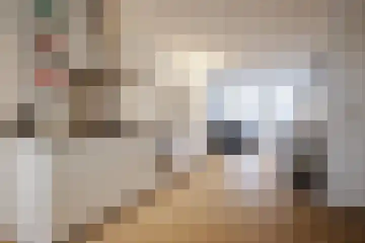 Knollendamstraat 3 H Amsterdam thumbnail 5