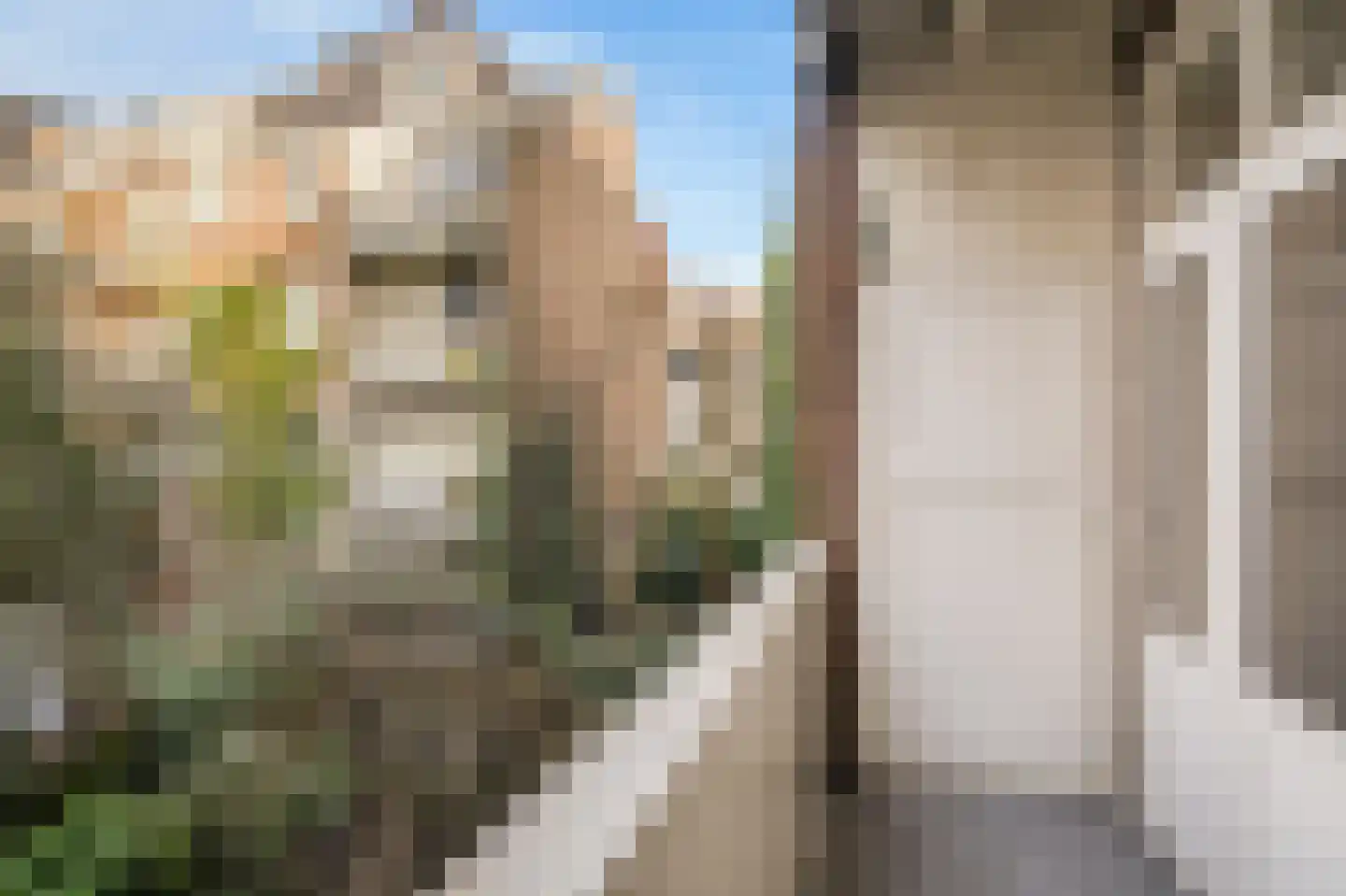 Knollendamstraat 70 Amsterdam thumbnail 14