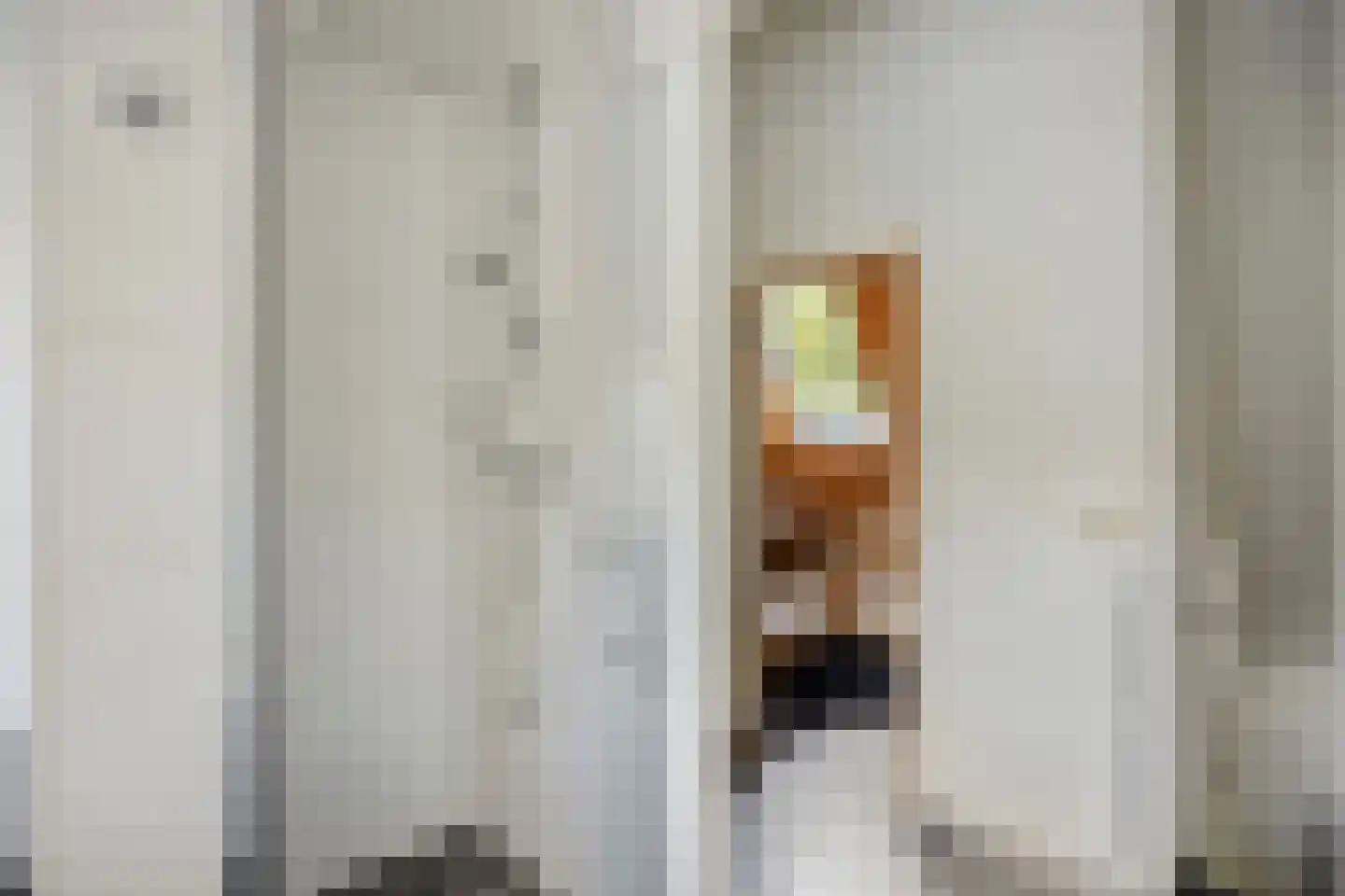 Knollenhaarweg 7 020 Hellendoorn thumbnail 19
