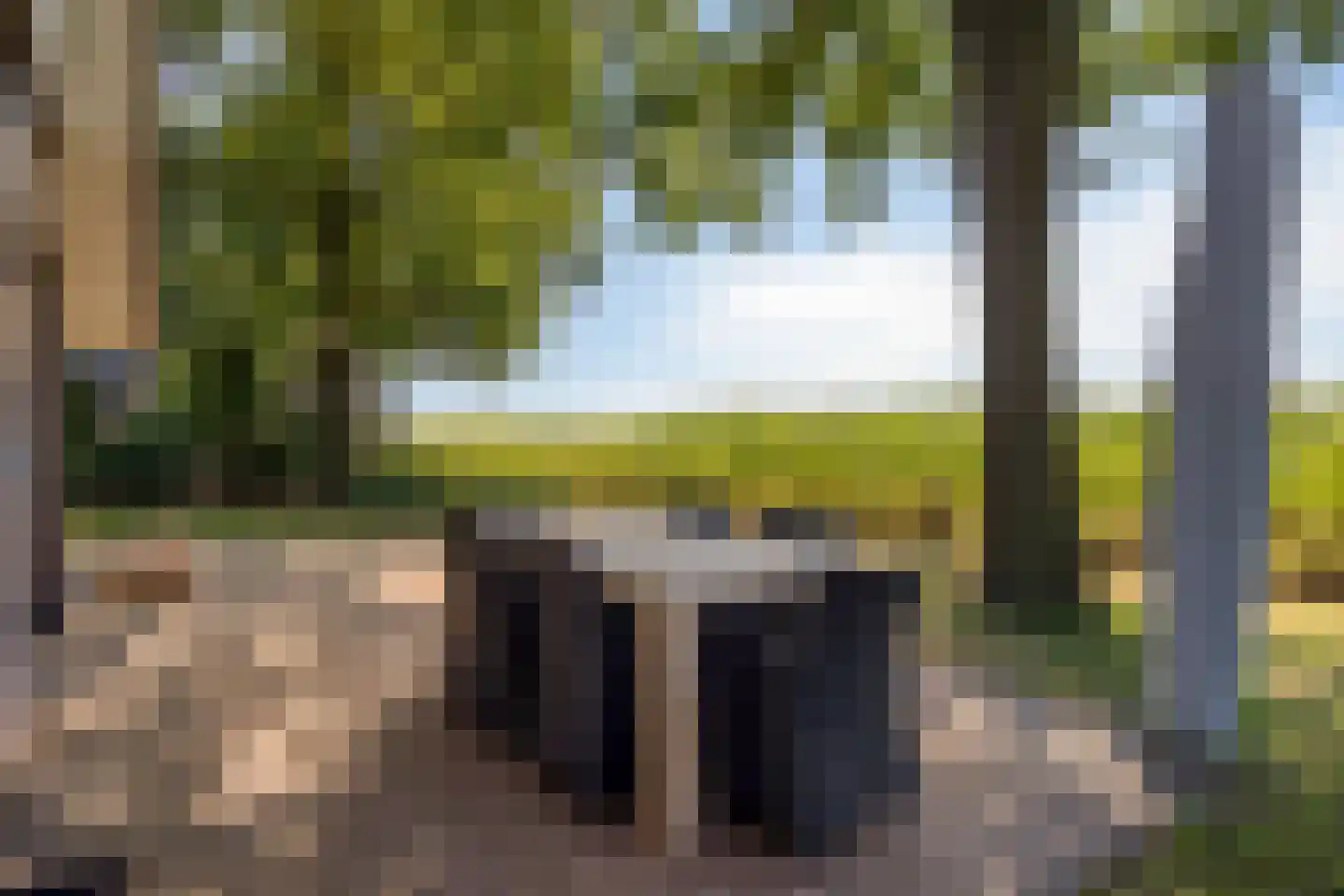 Knollenhaarweg 7 020 Hellendoorn thumbnail 24