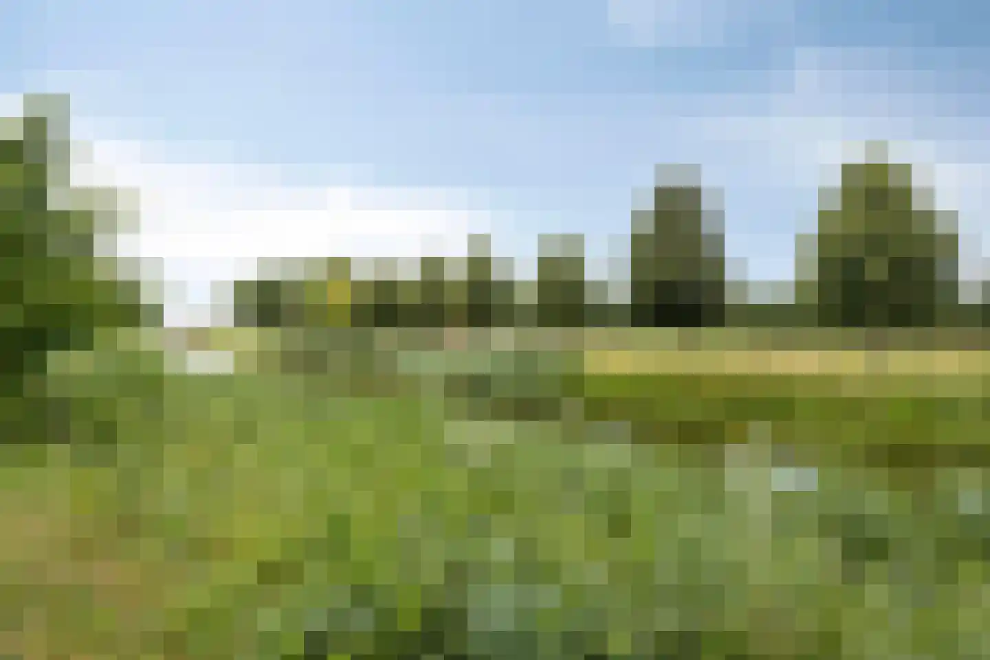 Knollenhaarweg 7 020 Hellendoorn thumbnail 28