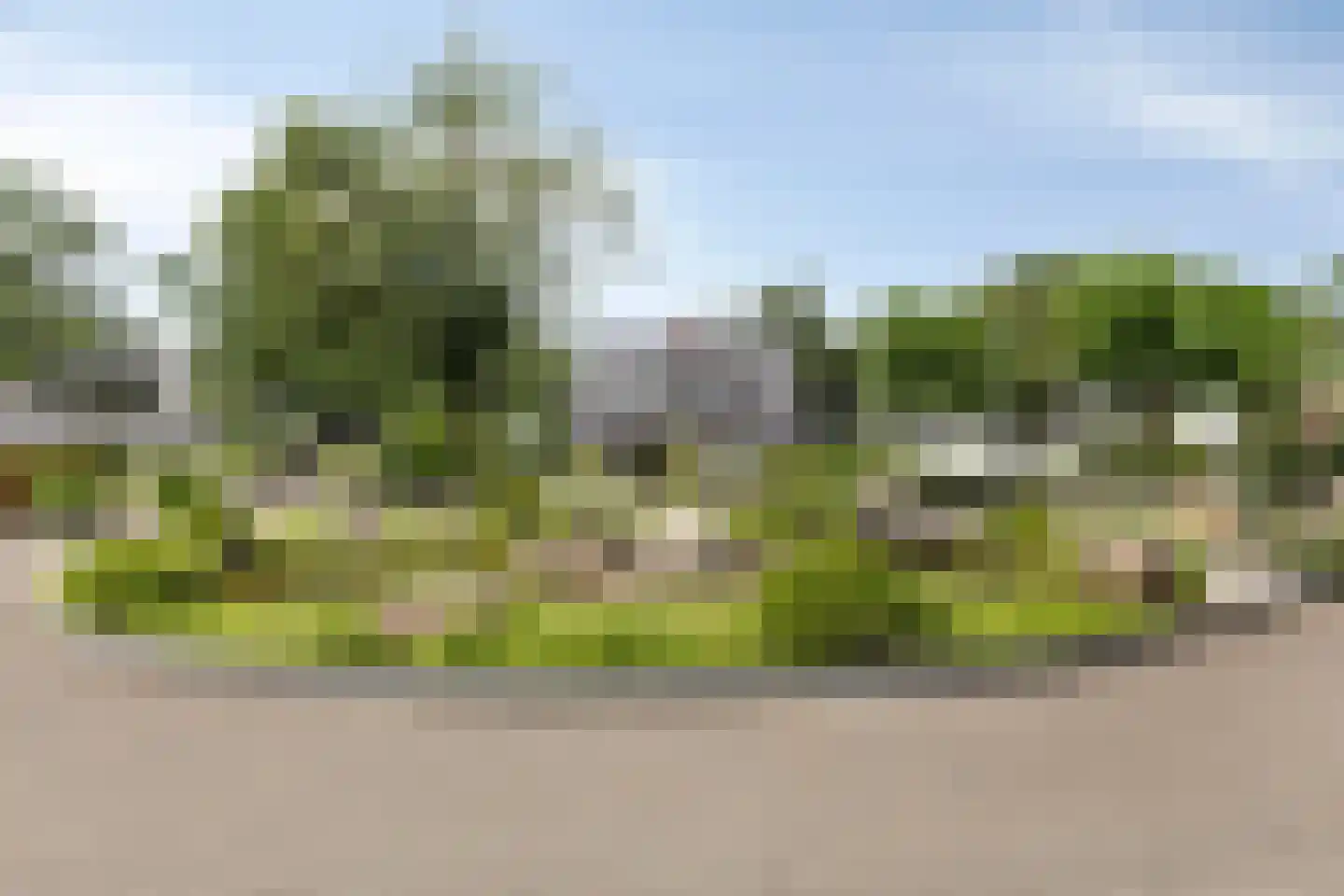 Knollenhaarweg 7 020 Hellendoorn thumbnail 29