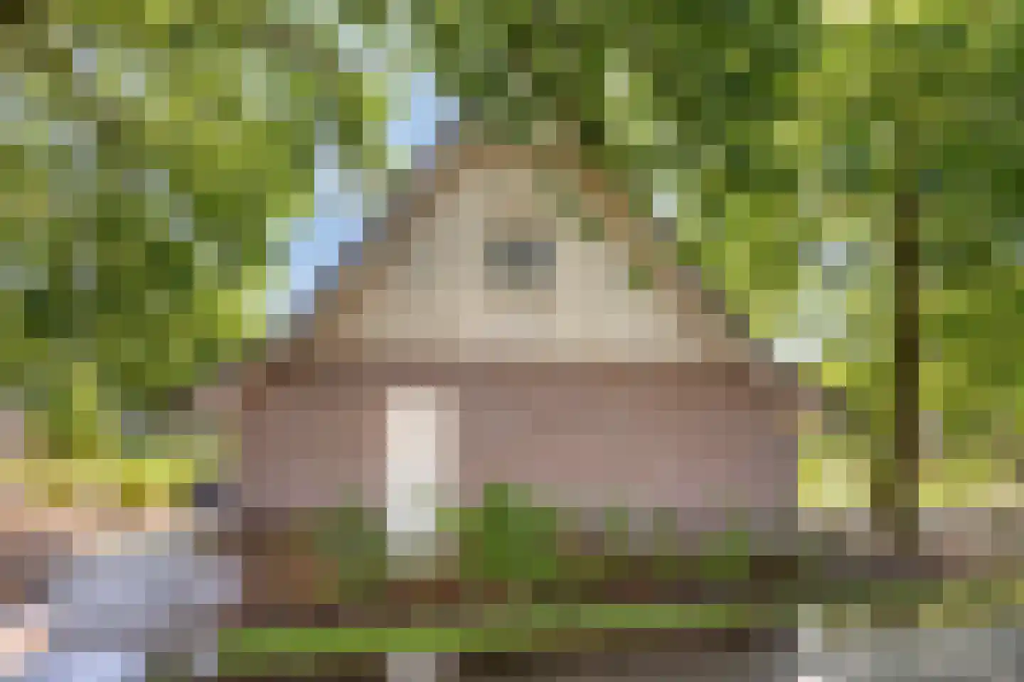 Knollenhaarweg 7 028 Hellendoorn thumbnail 23