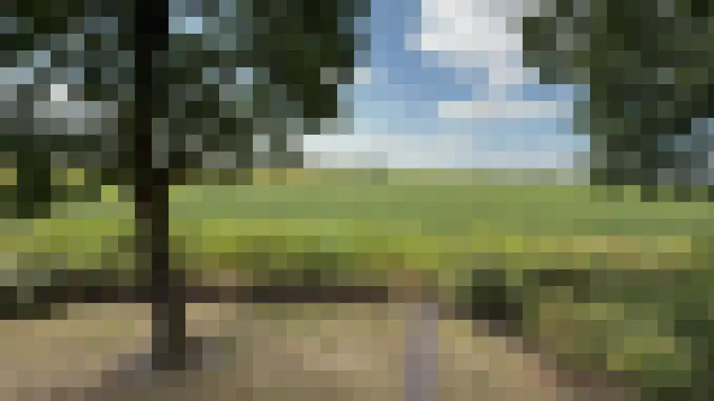 Knollenhaarweg 7 055 Hellendoorn thumbnail 37