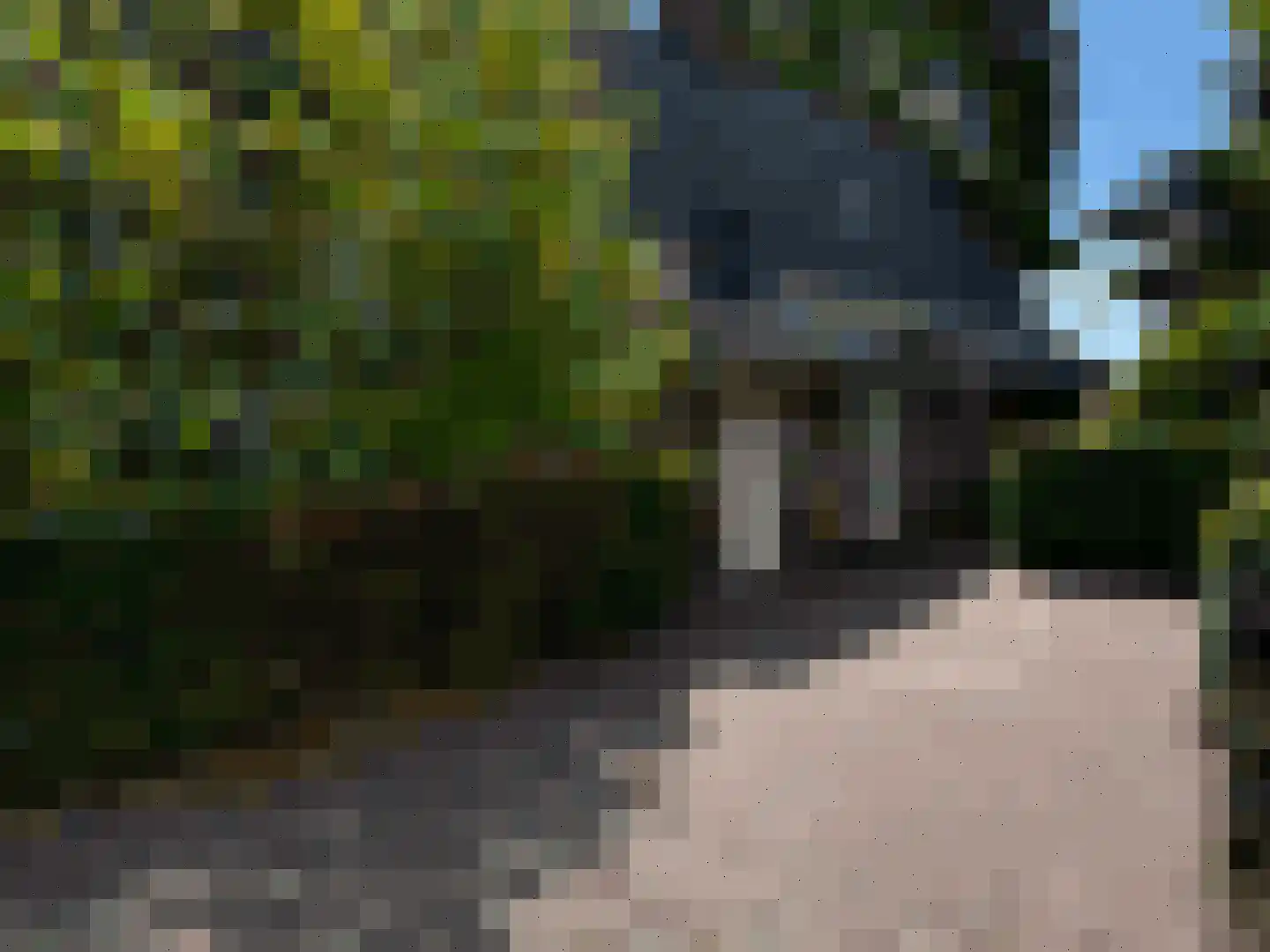 Knollenhaarweg 7 055 Hellendoorn thumbnail 9