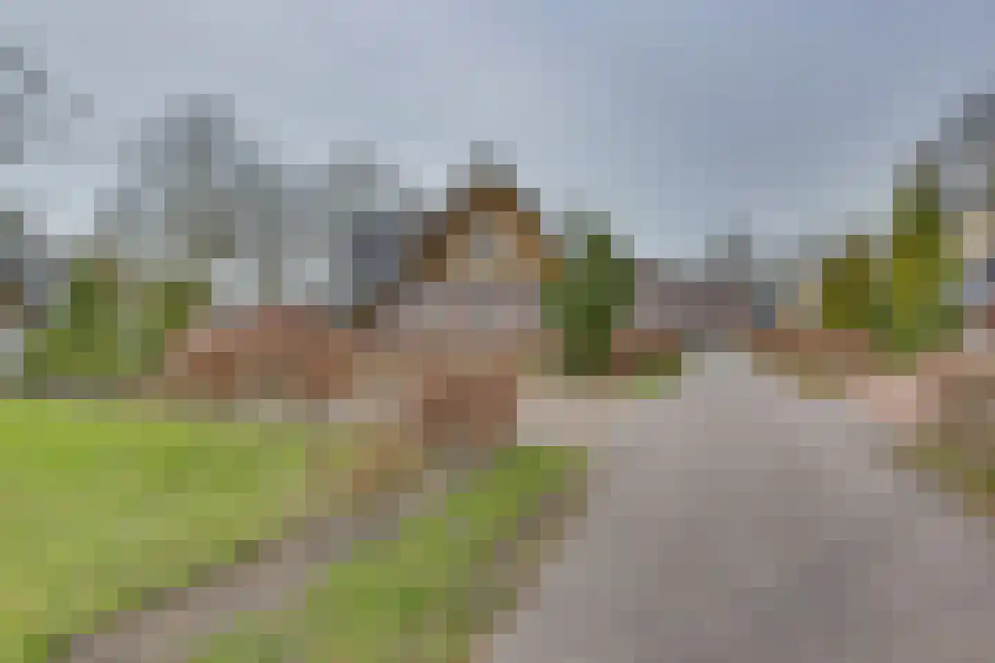 Knollenhaarweg 7 128 Hellendoorn thumbnail 30
