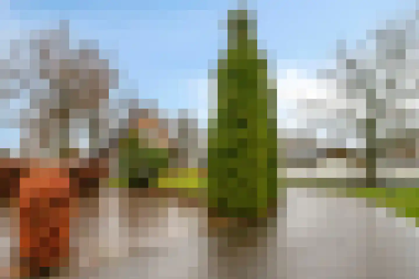 Knollenhaarweg 7 139 Hellendoorn thumbnail 24
