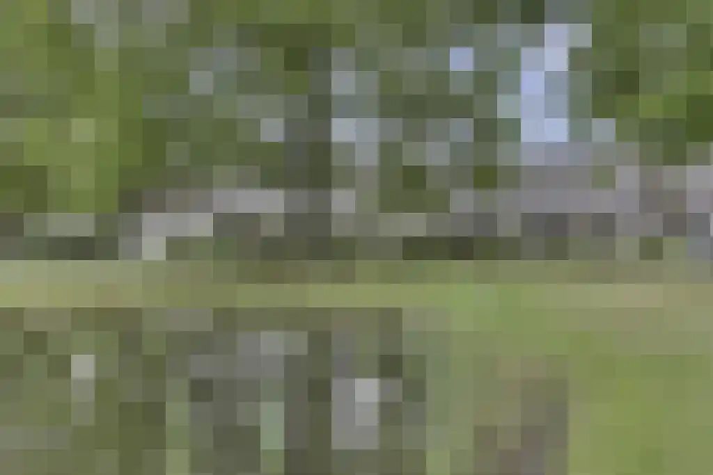 Knollenhaarweg 7 139 Hellendoorn thumbnail 30